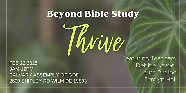 Beyond Bible Study