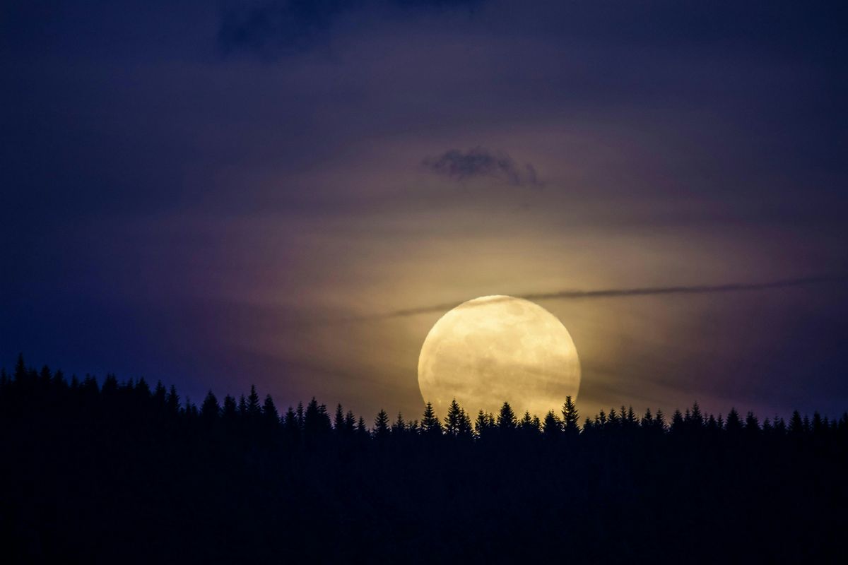 Guided Meditation Circle for the Full Hunter Moon