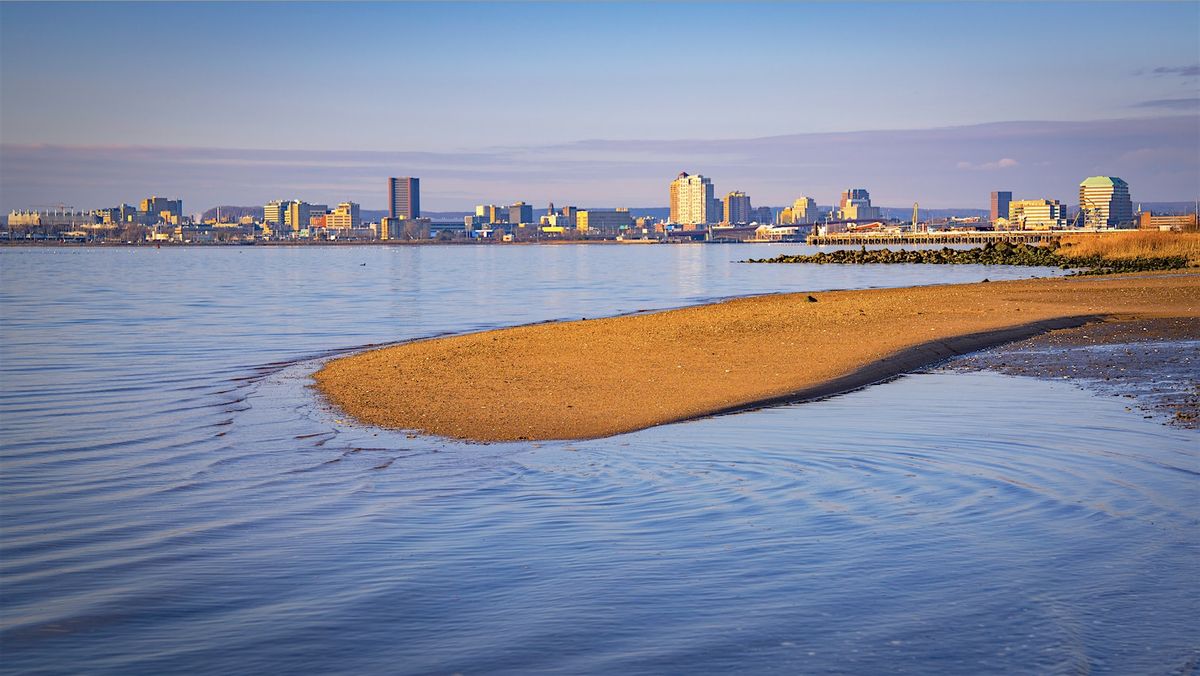 What's in the Harbor?