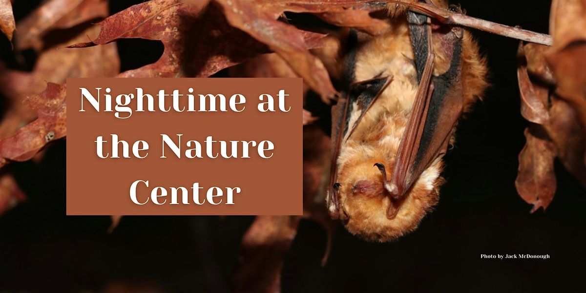 Nighttime at the Nature Center