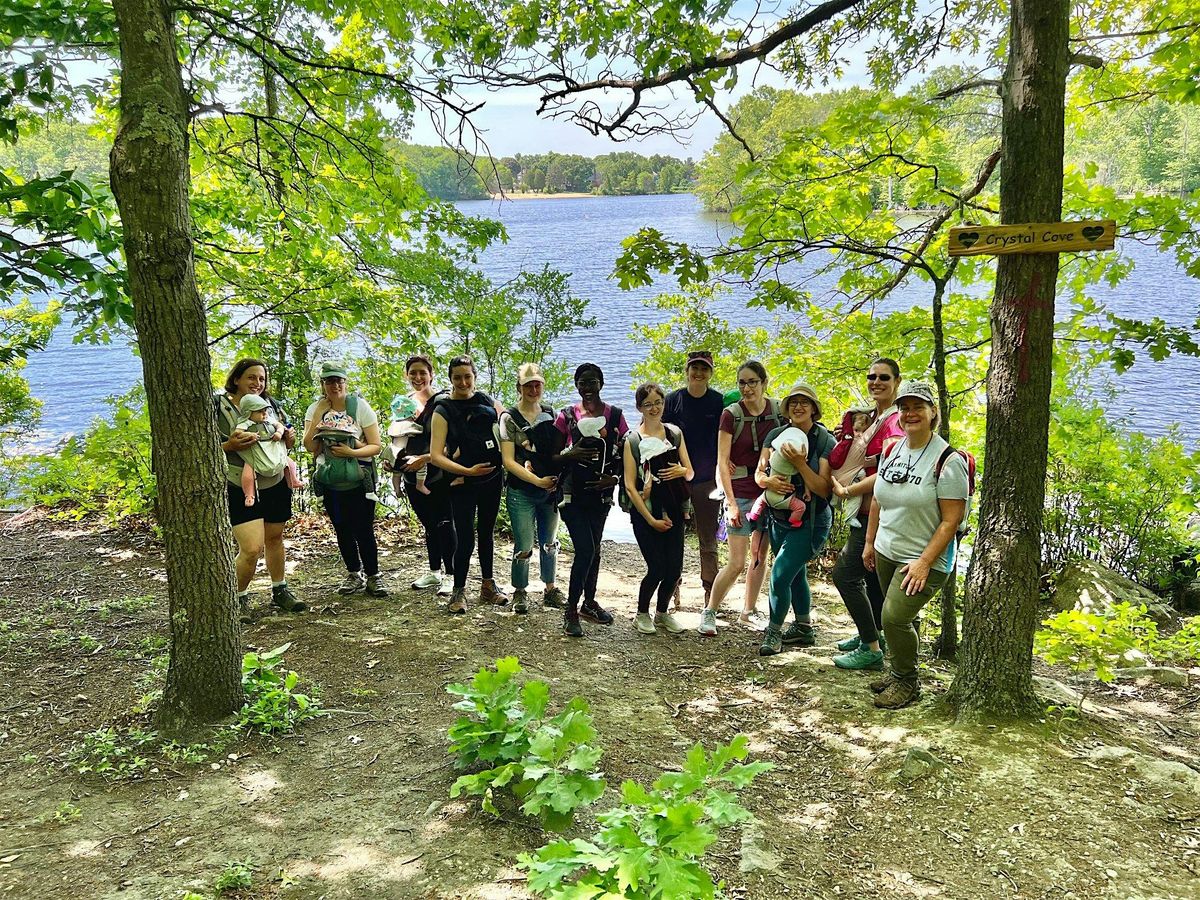 Babes in the Woods Hike