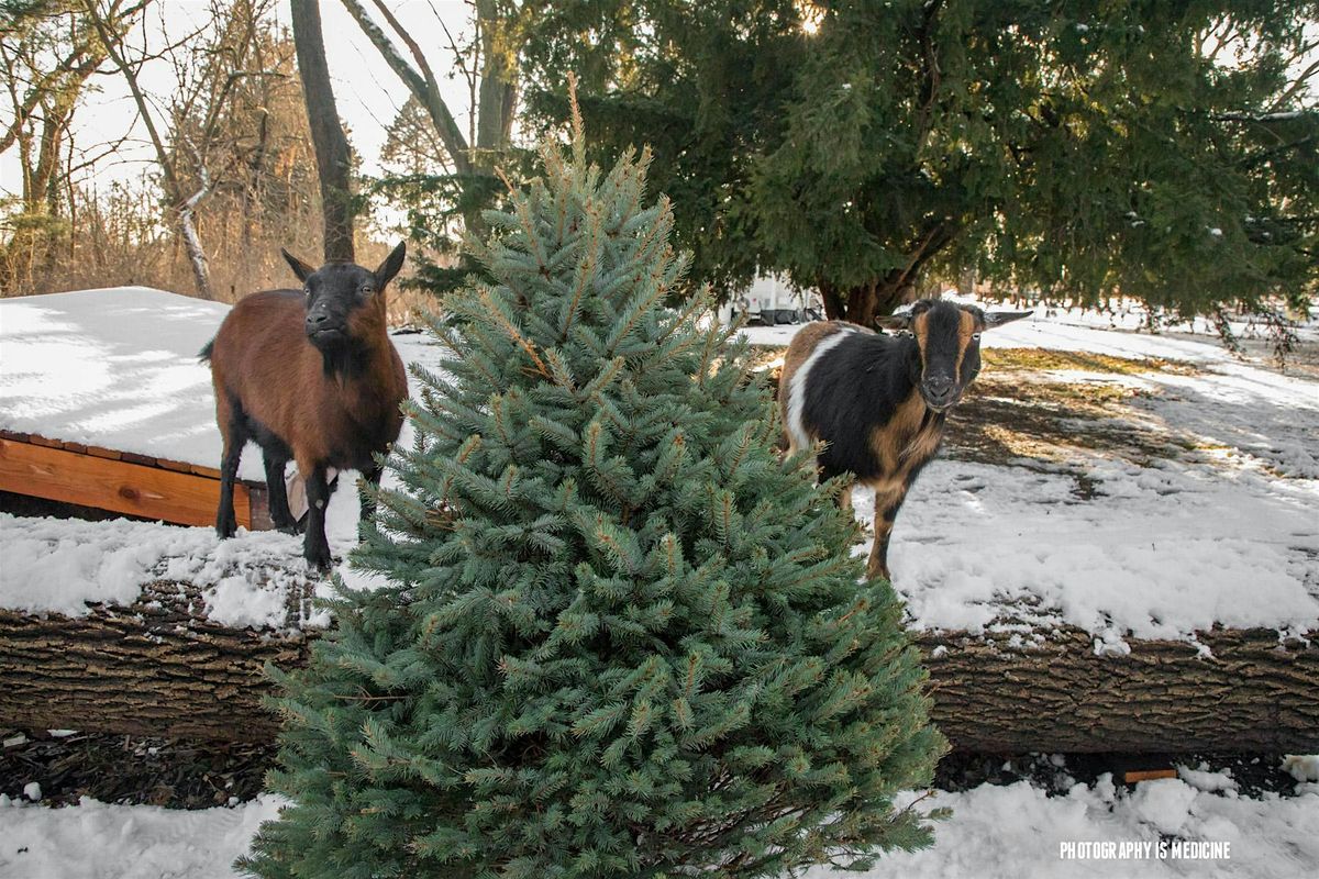 All Abilities RAMble