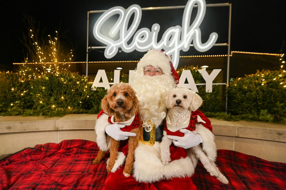 Pet Portraits with Santa at Hilldale