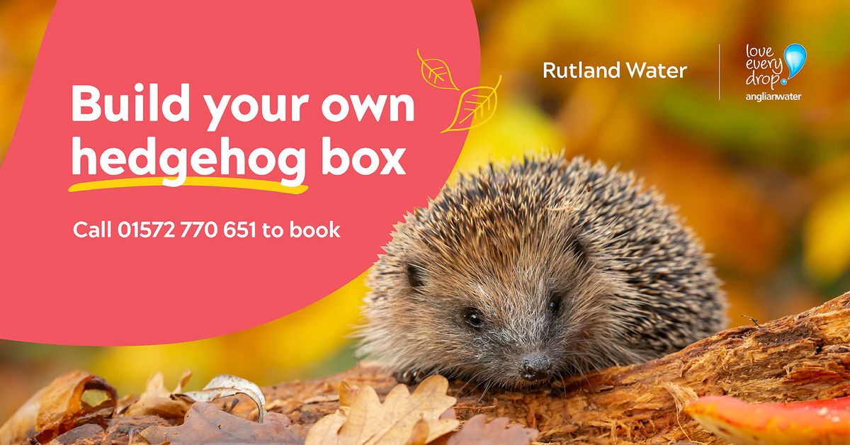Build your own hedgehog box