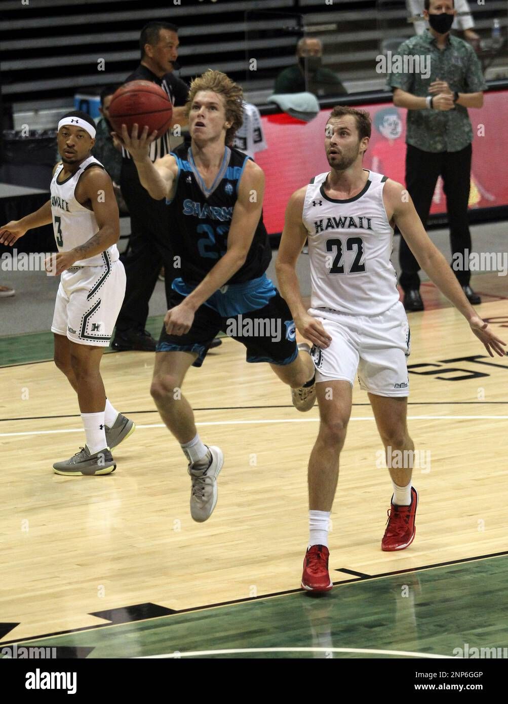 Hawaii Pacific Sharks at Hawaii Rainbow Warriors Mens Basketball