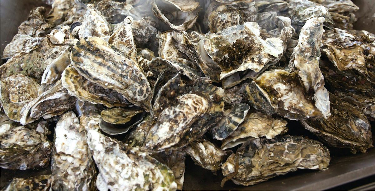 15th Annual Beaufort Twilight Run Oyster Roast