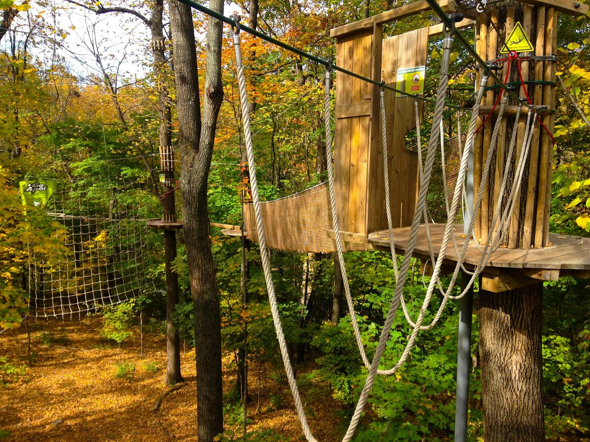 Learn More: Fall Events at Go Ape Cleveland