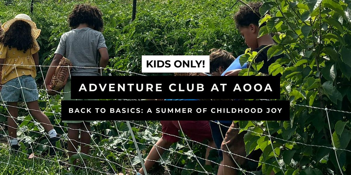 Adventure Club at AOOA: Back to Basics: A Summer of Childhood Joy