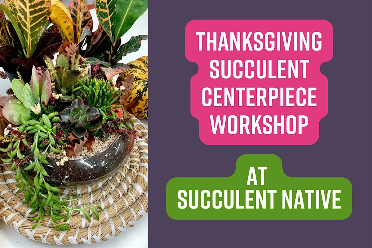 Thanksgiving Succulent Centerpiece Workshop