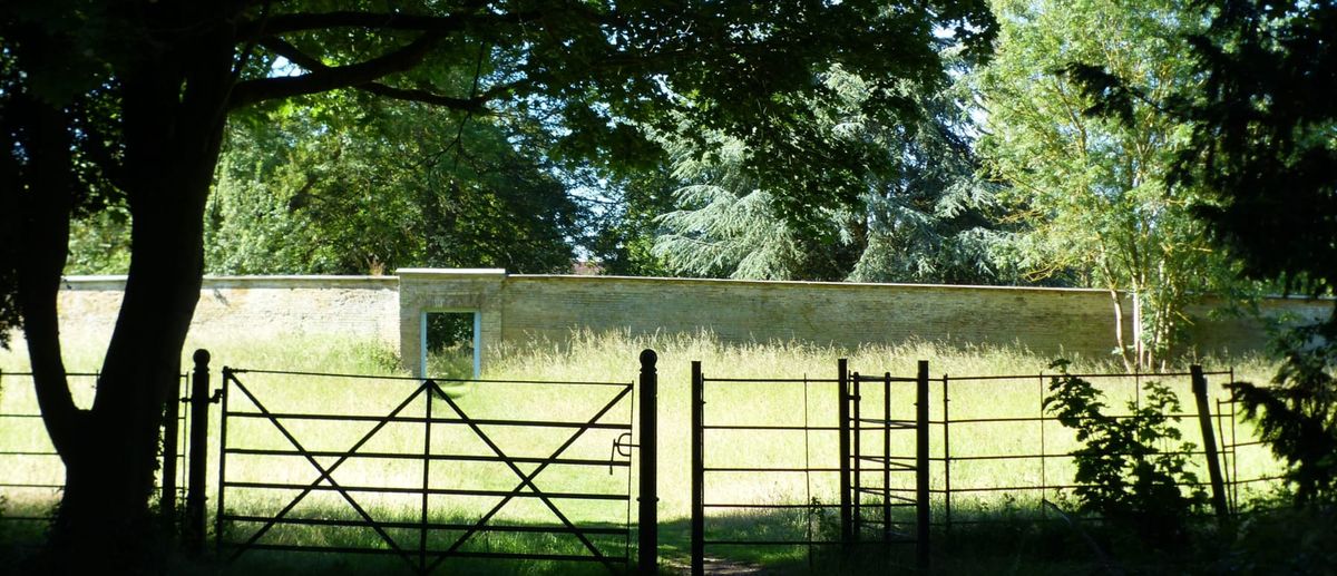 Guided Walk around Wandlebury, Wed 26 Feb 10am-12pm