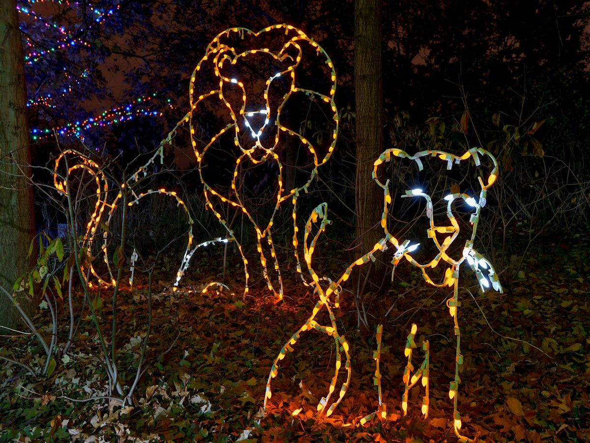 Illuminated Zoo and Holiday Lights Scavenger Hunt