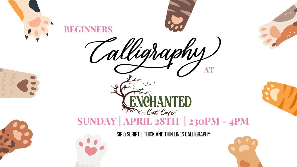 Modern Calligraphy for Beginners at Enchanted Cat Cafe