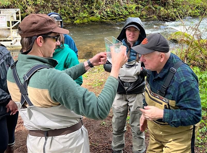 Field Identification of Fish in the Willamette Valley - April 2025