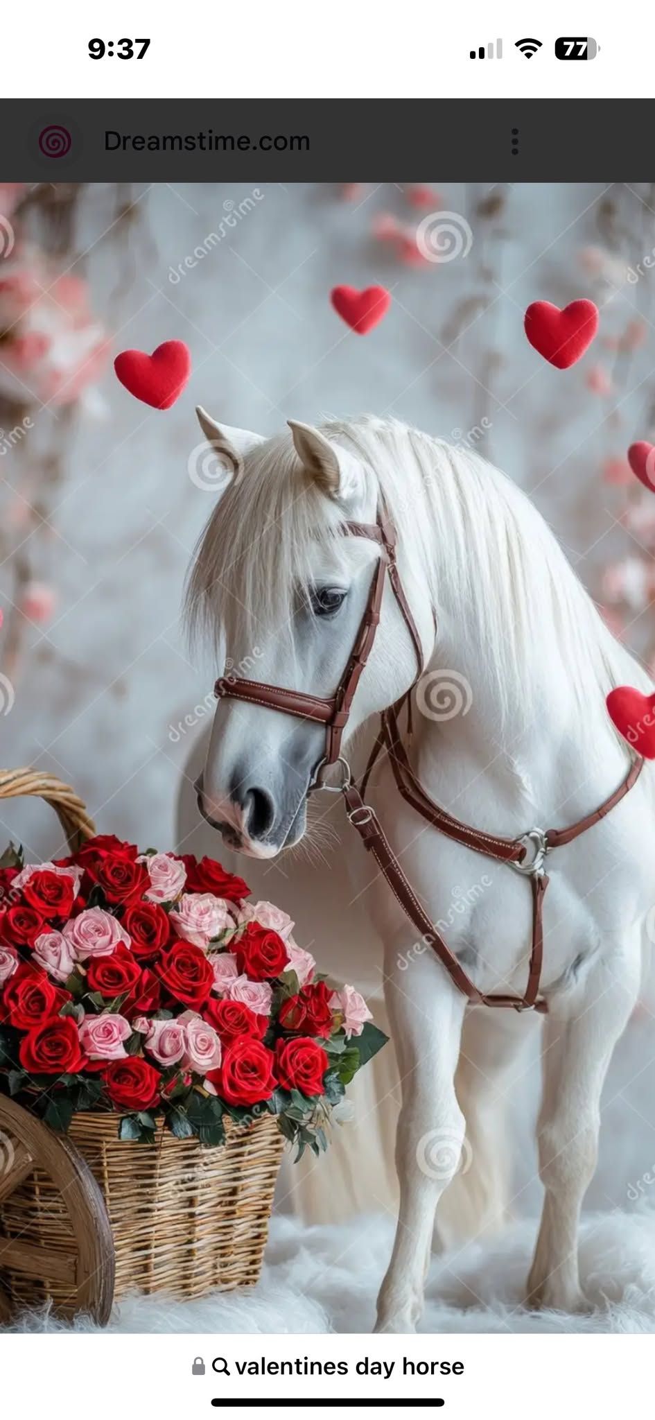 Valentines Day Horse & Tack Auction