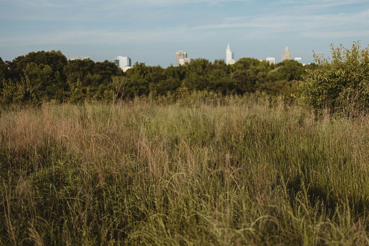 Common Ground: Perspectives on Health and Design in the Landscape