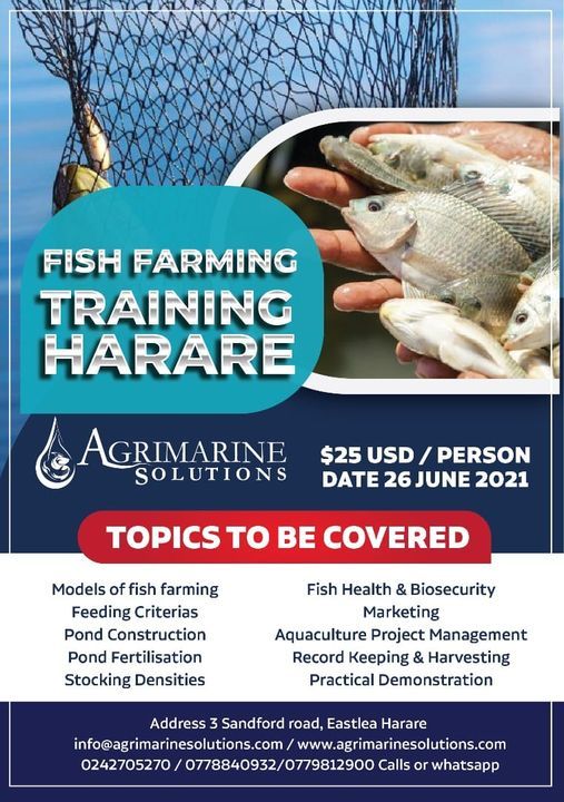 Fish farming training, Agrimarine Solutions, Harare, 26 June 2021