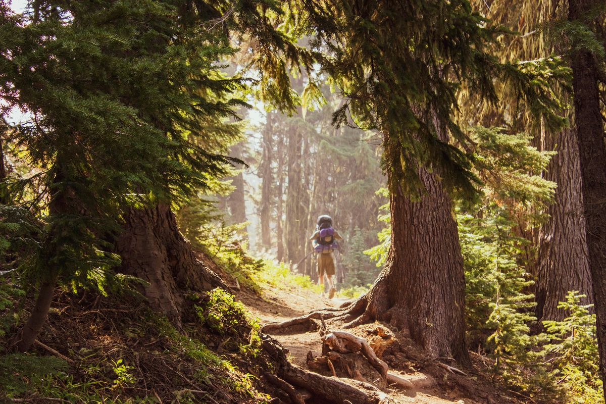 The Unhurried Hike