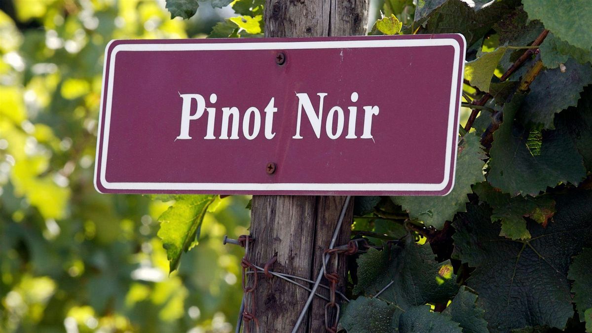 Premium Red Wine Series: Pinot Noir