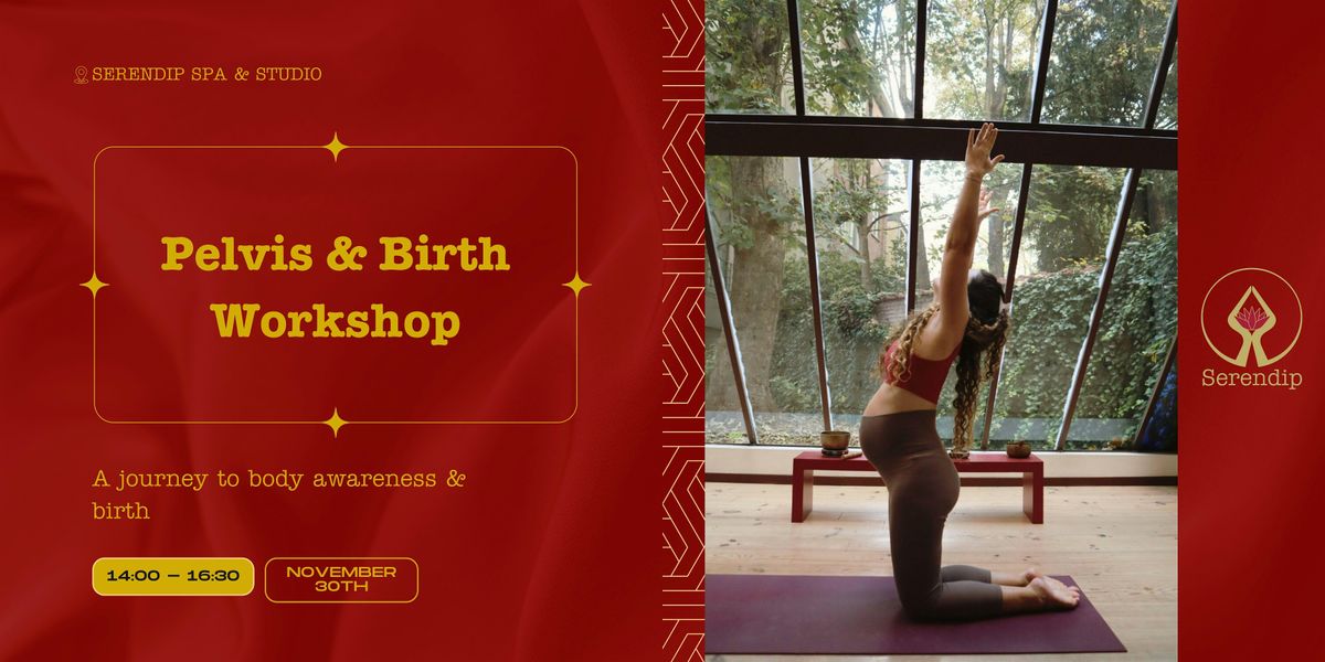 Pelvis & Birth Workshop