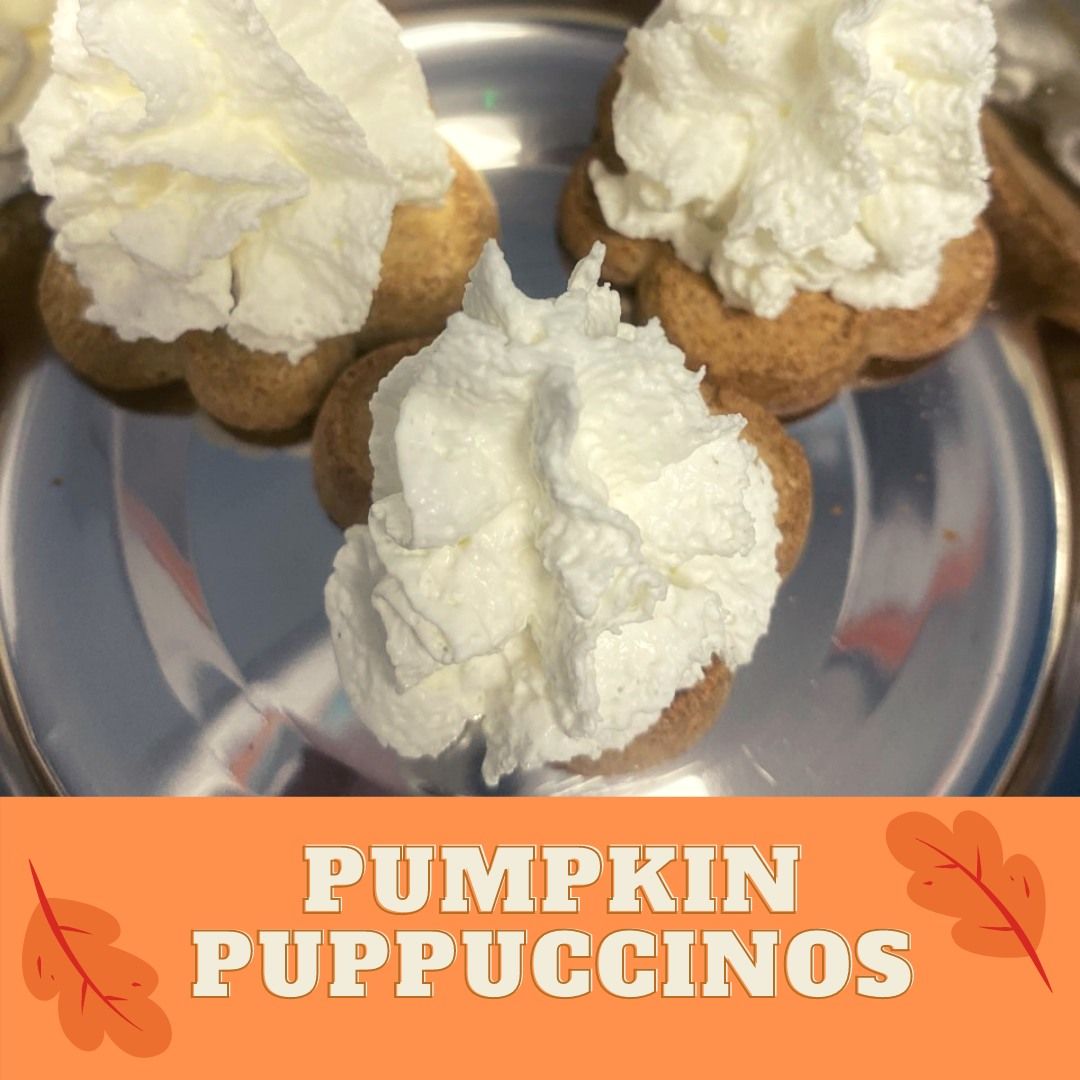 Pumpkin Puppuccino Fundraiser!