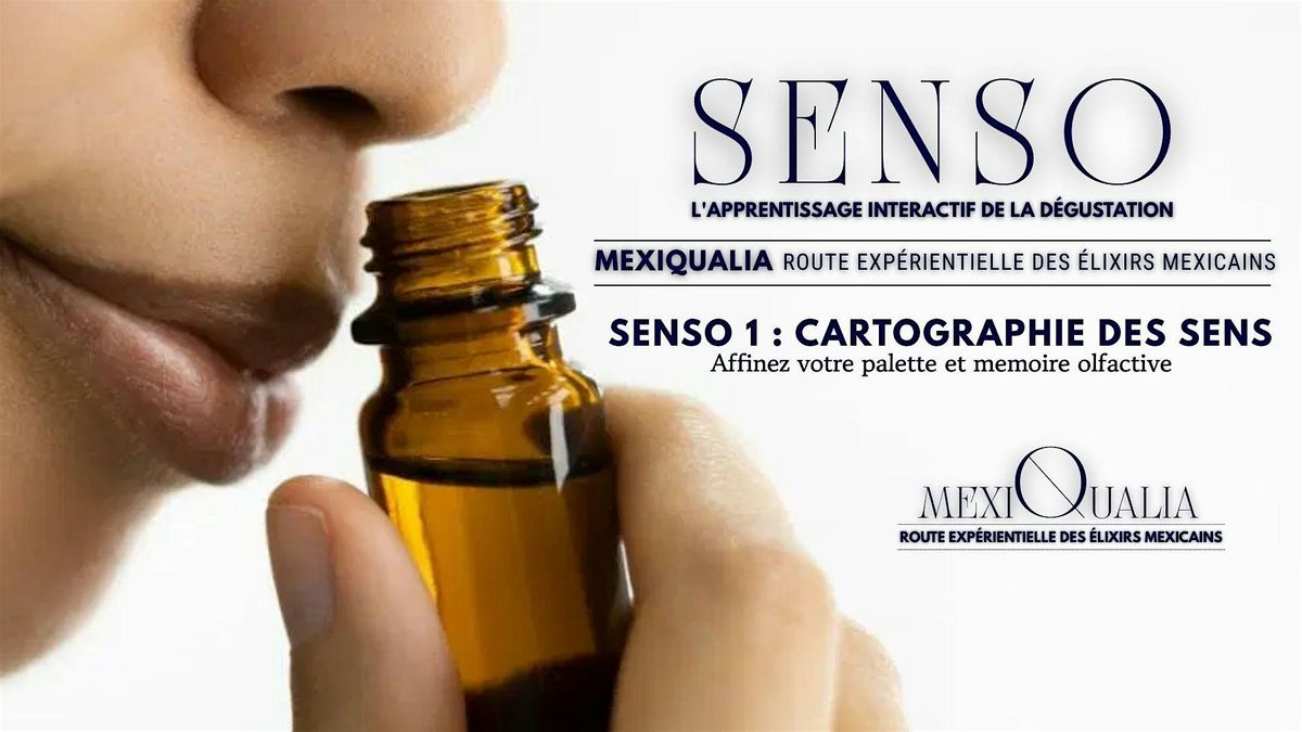 SENSO 1 : CARTOGRAPHIE DES SENS -Affinez votre palette et memoire olfactive