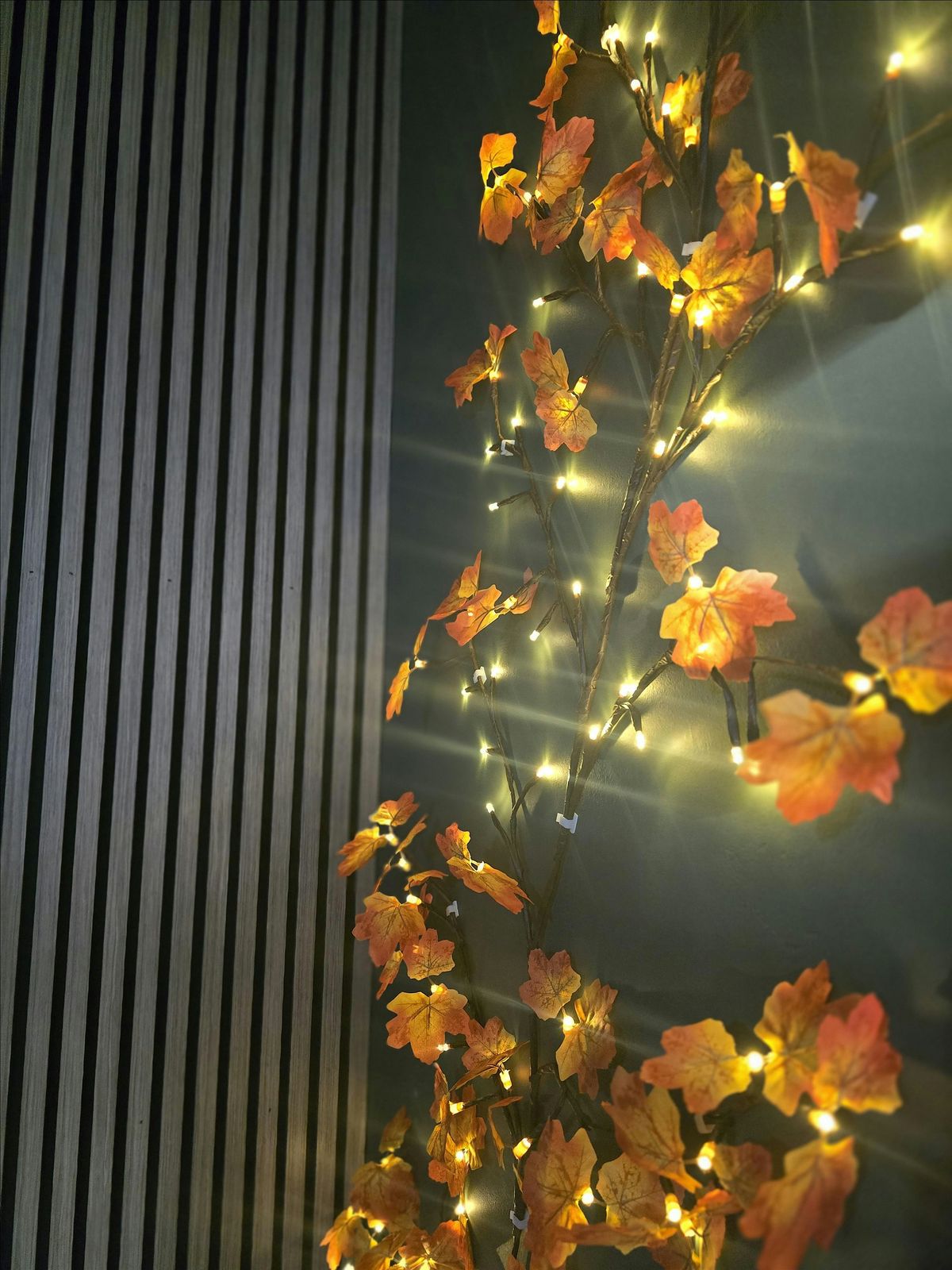 Sacred Cacao & Sound Bath