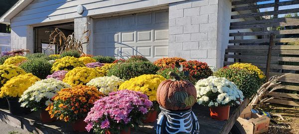 Sherman's valley heritage days