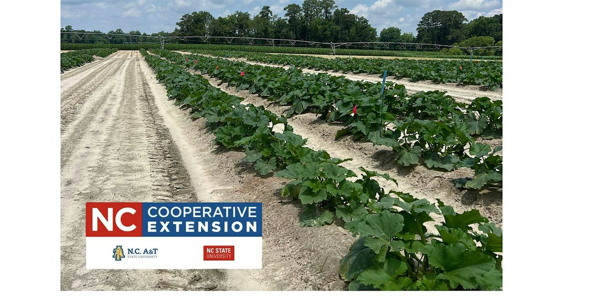 Area Vegetable Production Meeting