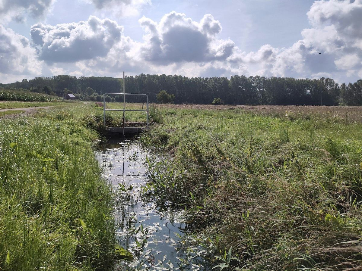 Studiedag | Waterbeheer in landbouwgebied