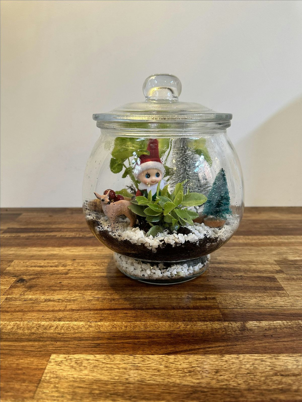 Winter Terrarium Workshop