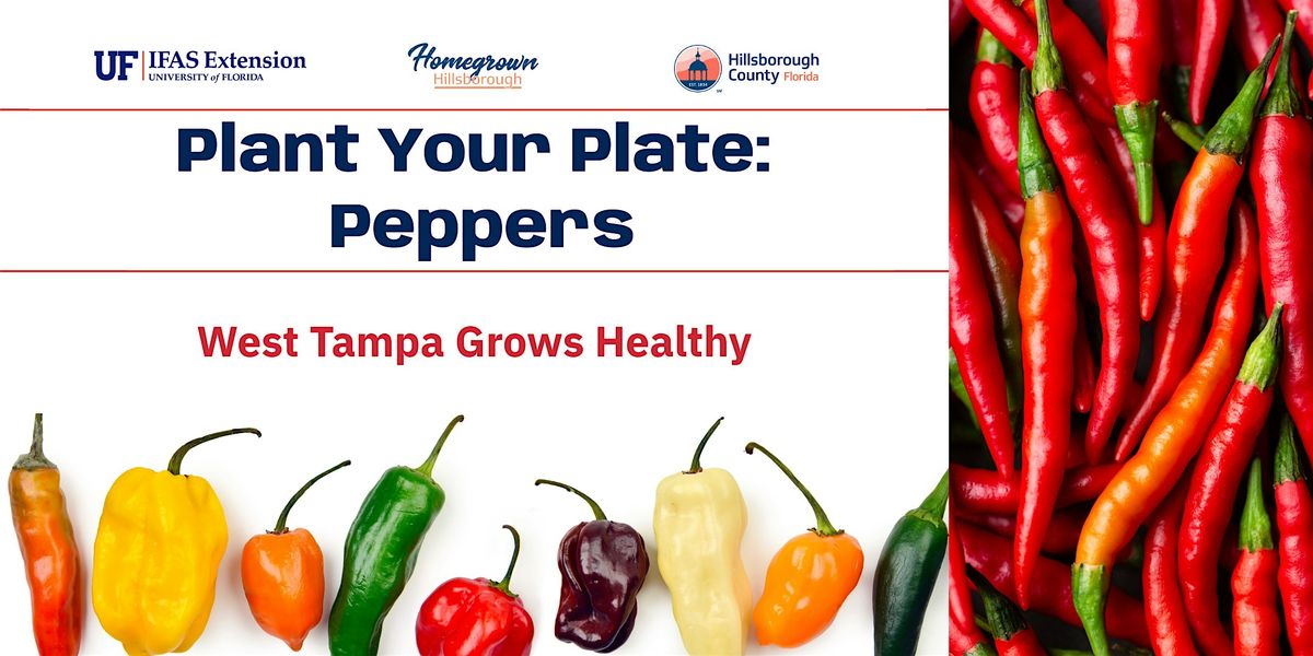 Plant Your Plate: Peppers (Fertilize) @ West Tampa Grows Healthy