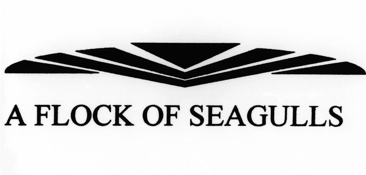 A FLOCK OF SEAGULLS