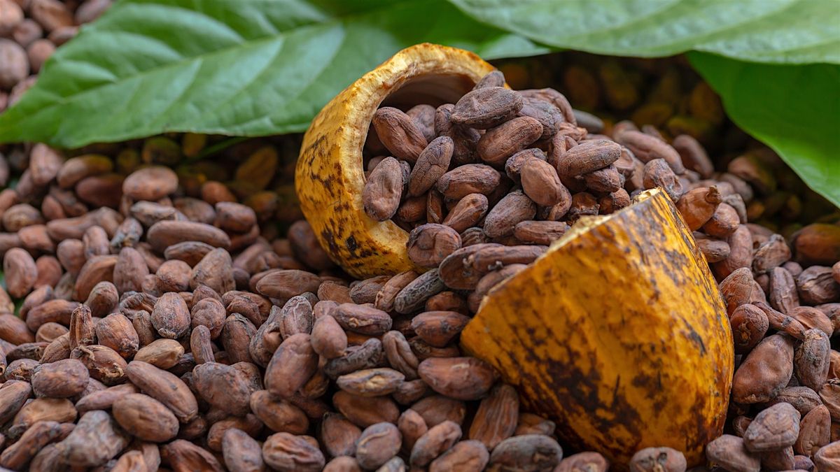 Flavor School: Guided Chocolate Tasting with Equal Exchange
