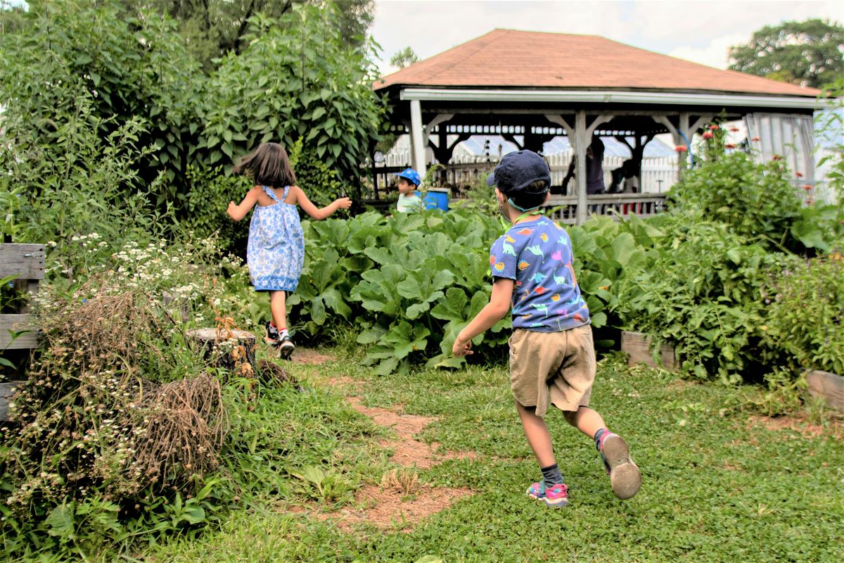 Summer Children's Garden