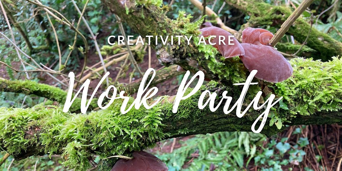 Creativity Acre Work Party (January 2025)