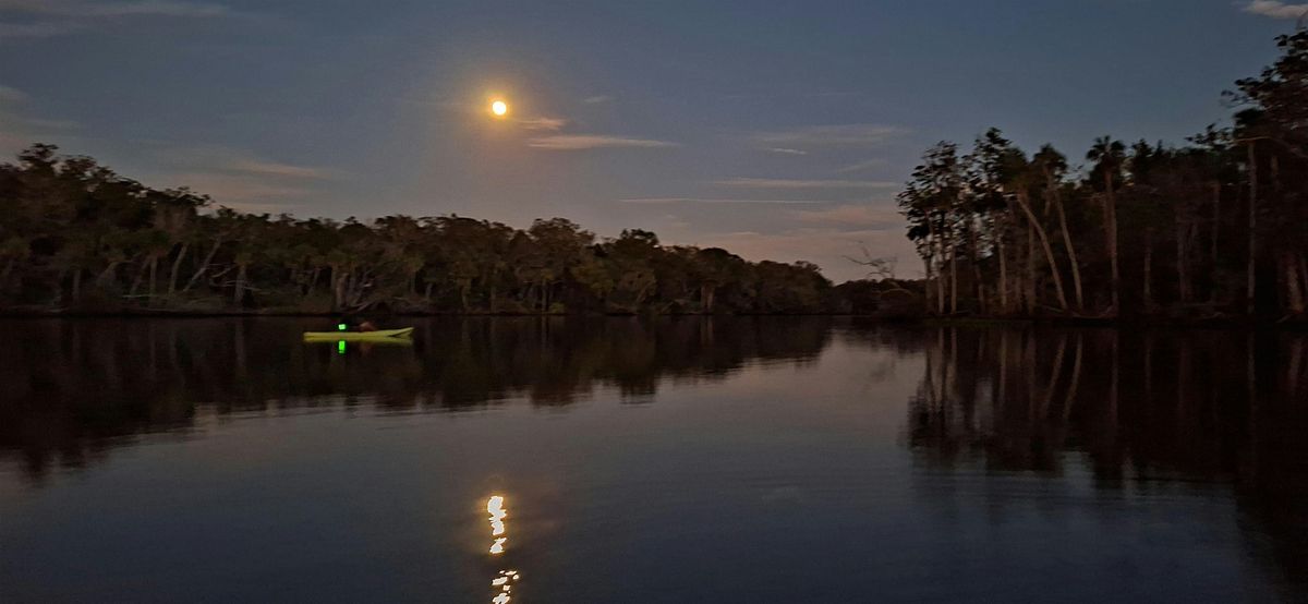 Full Moon Kayaking Tour - Homosassa, Florida