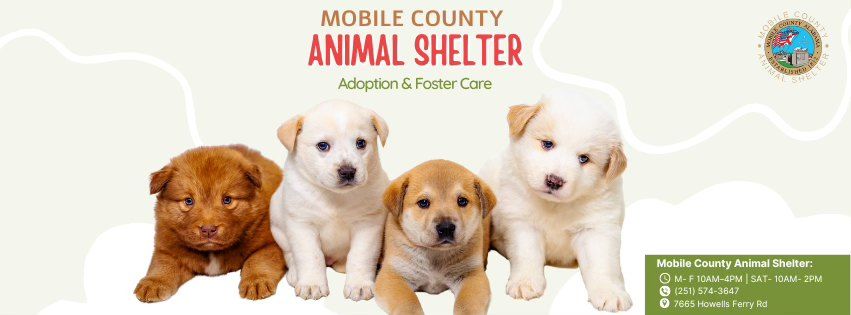 Greater Gulf State Fair Adoption Event