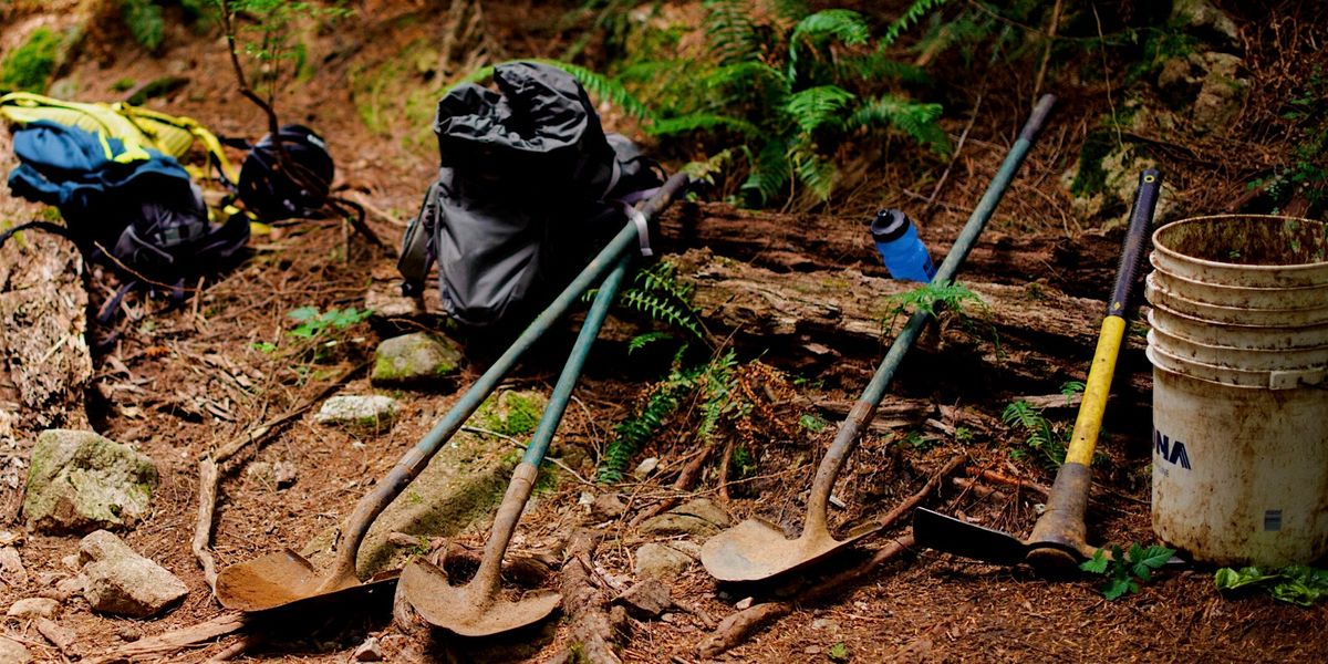 King of the Shore Trail Day