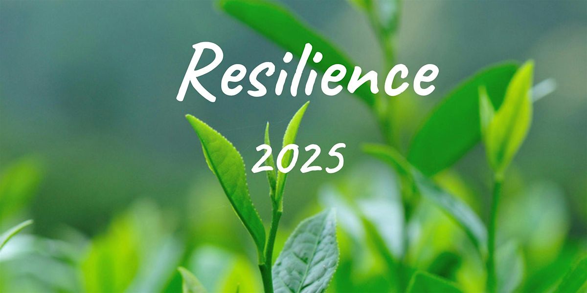 Resilience for Professionals