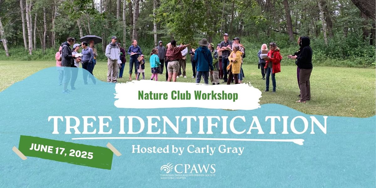 Workshop: Tree Identification