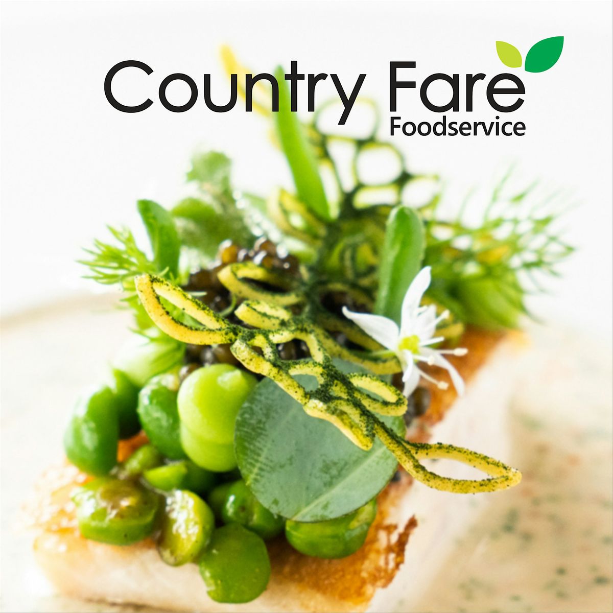 Copy of Discover the world of plants with Koppert Cress.