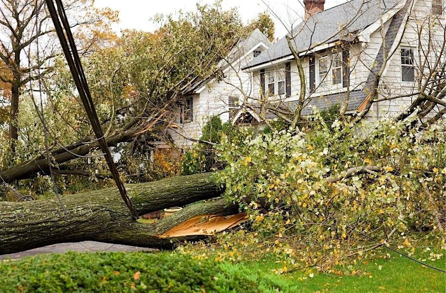 Residential Property Insurance for the LA Dweller Real Estate CE Class