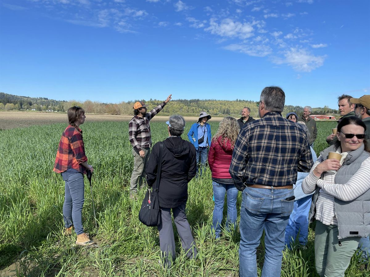 Star T Frisians Farm Tour: Creating Community and Sustainable Horse Keeping
