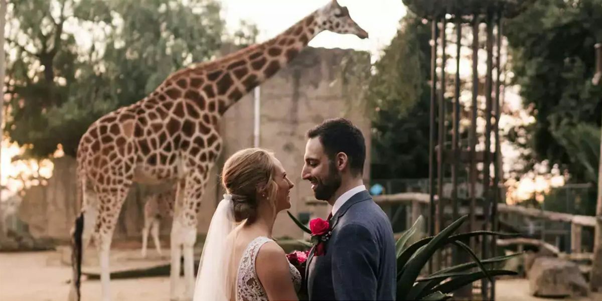 Wishful Weddings at Melbourne Zoo