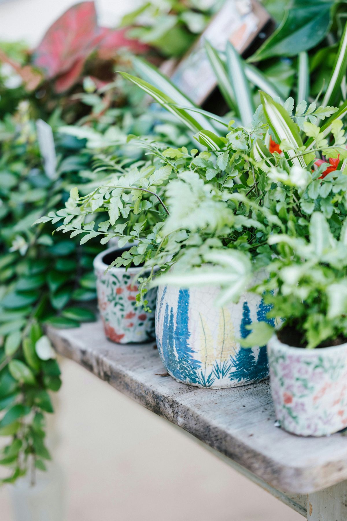 Painted Planter Pots