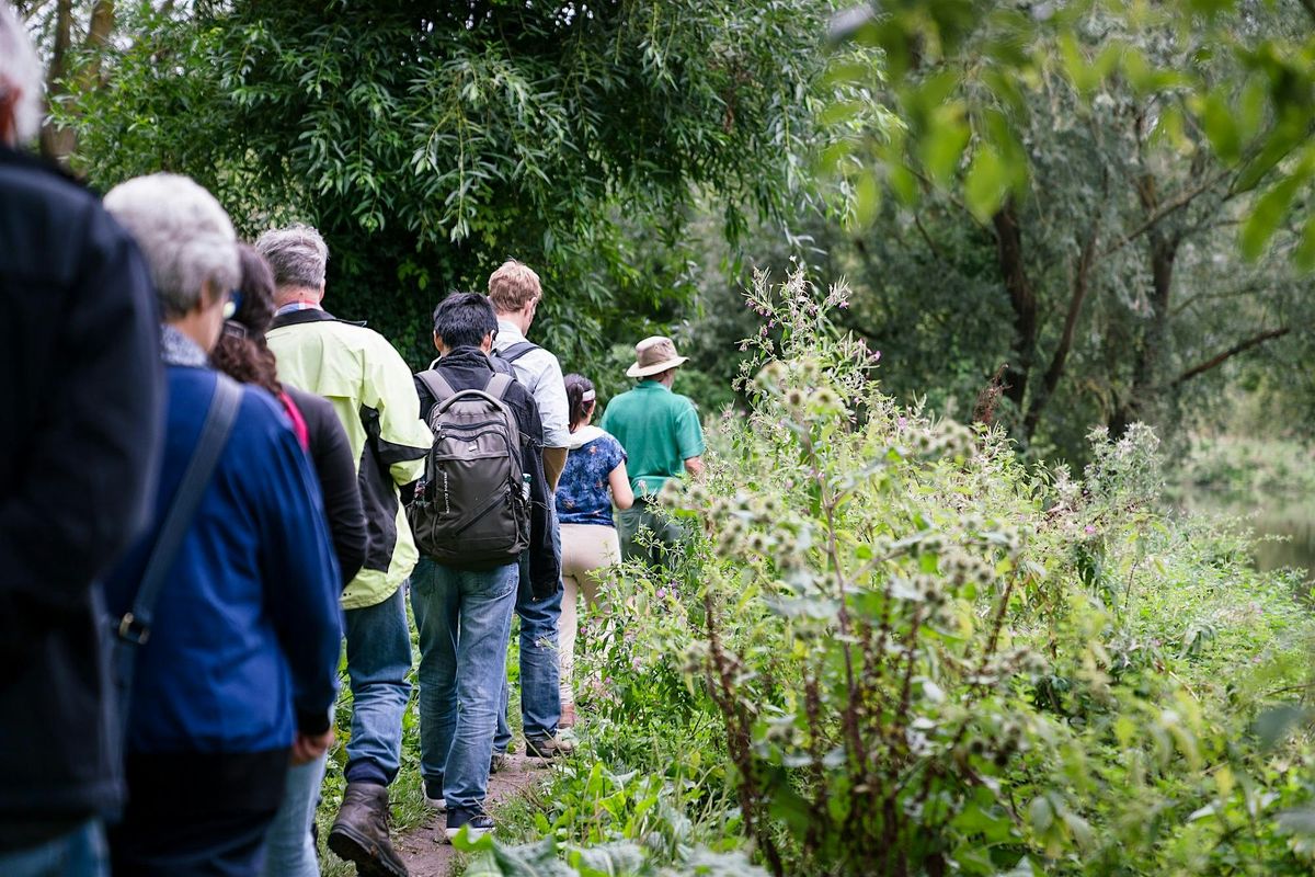 Monthly Meander - Winter Wildlife