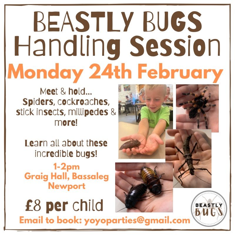 Beastly Bugs Handling Session