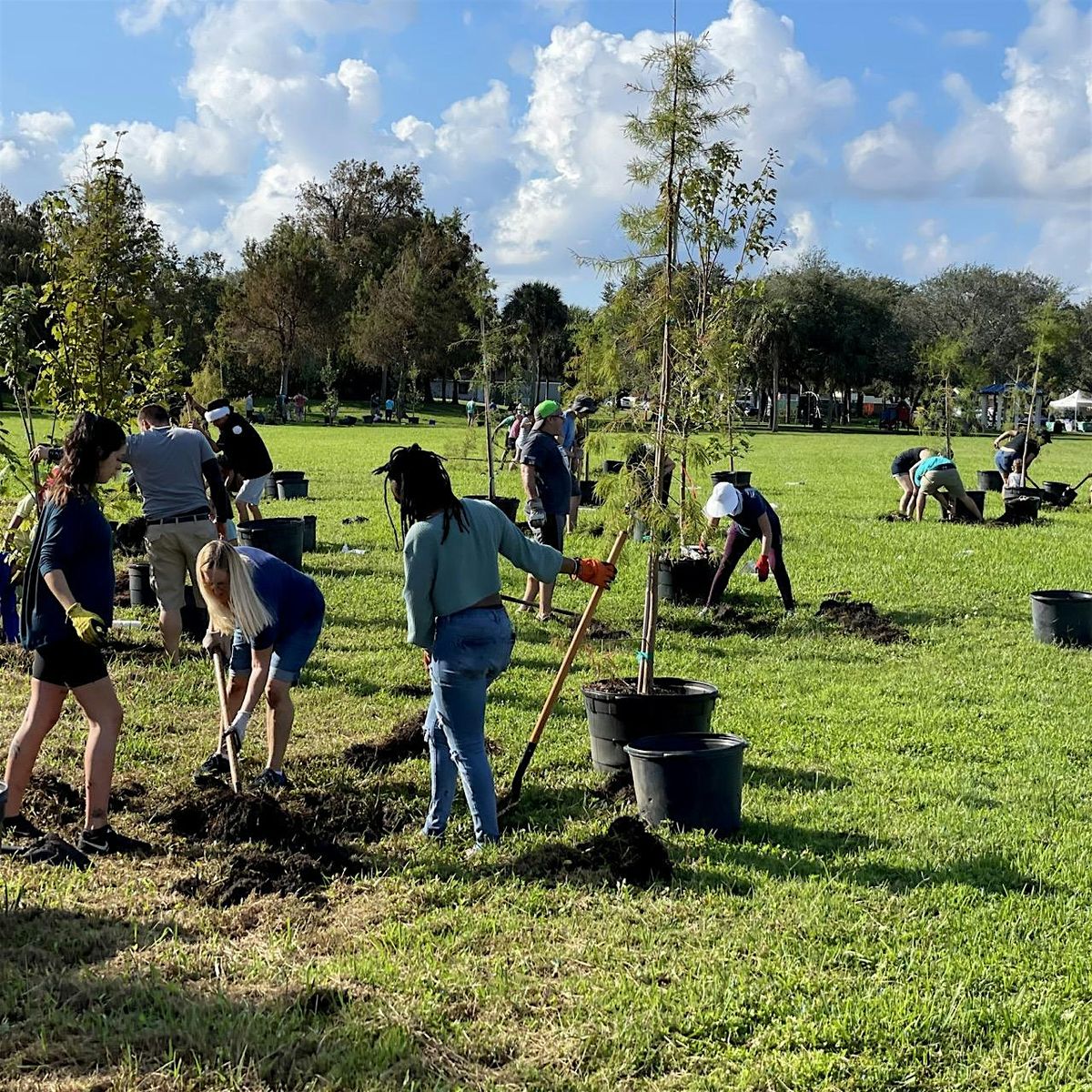 Dyer Park Tree Planting | Volunteers (12\/13\/25)