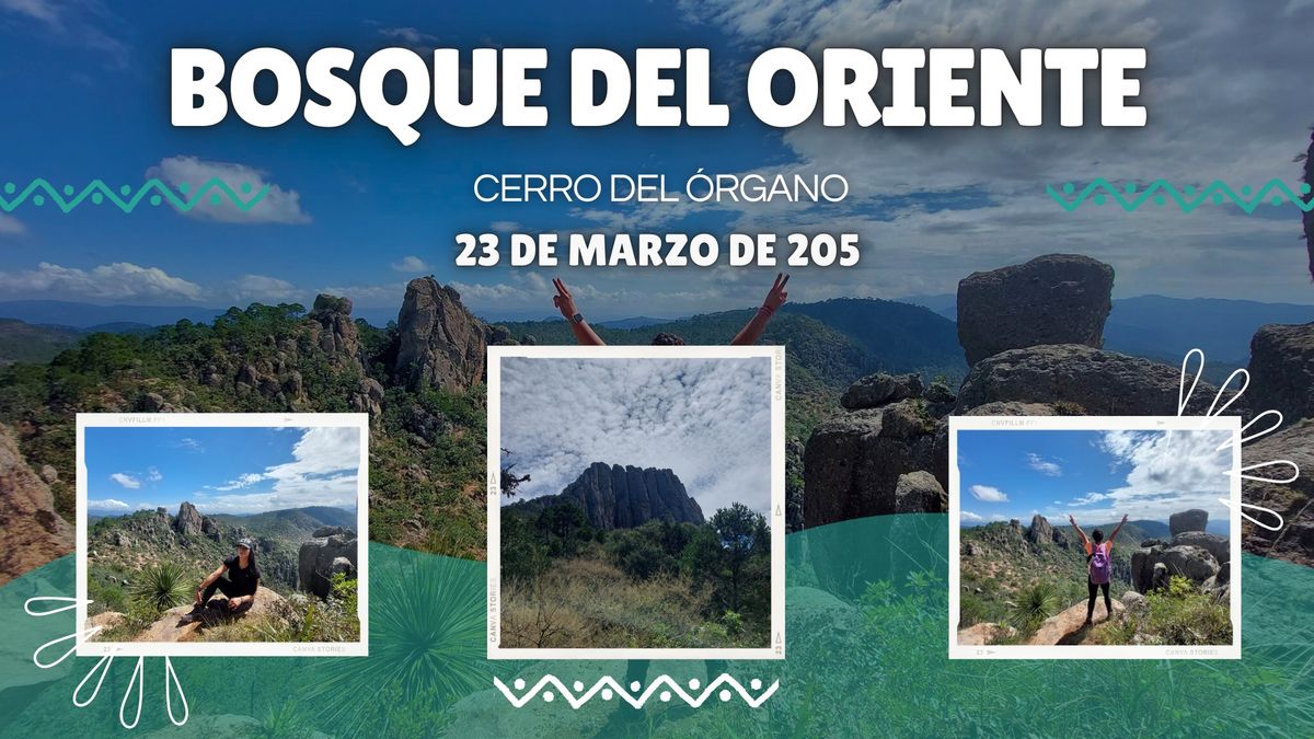 Bosque del Oriente- Cerro del Organo