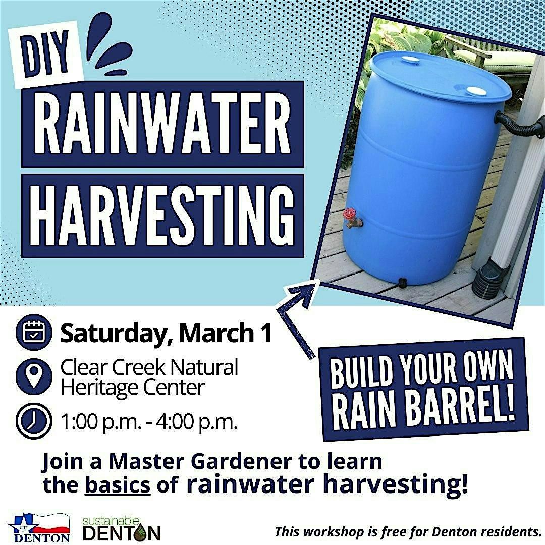 DIY Rainwater Harvesting